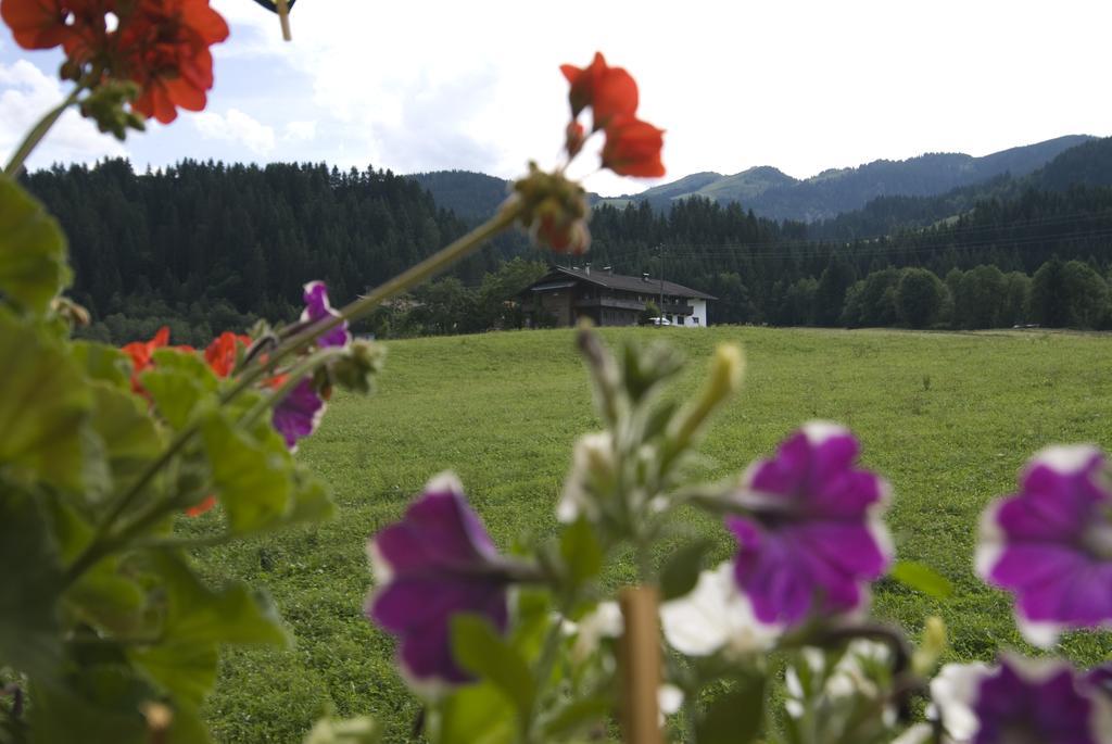 Haus Schatzbergblick Oberau Luaran gambar